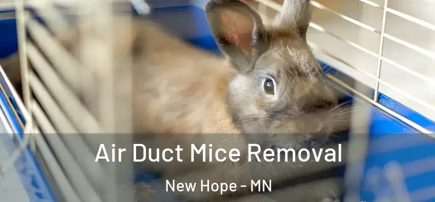 Air Duct Mice Removal New Hope - MN