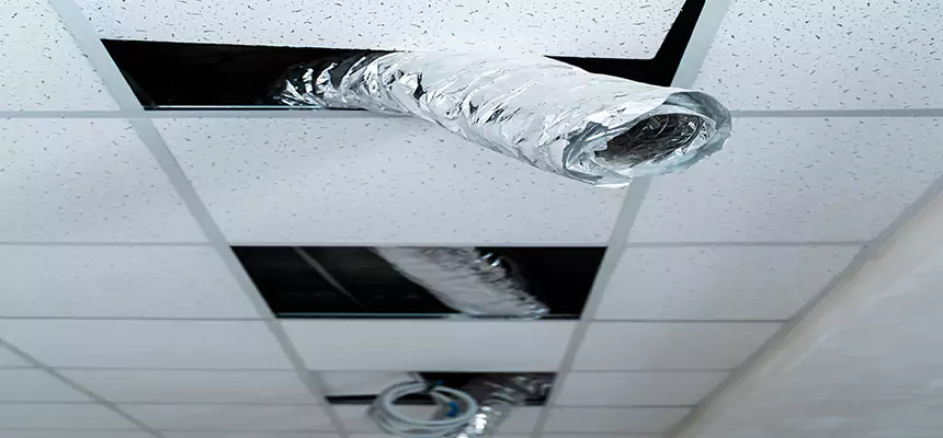 Our Air Duct Pet Hair Removal Services in New Hope, MN