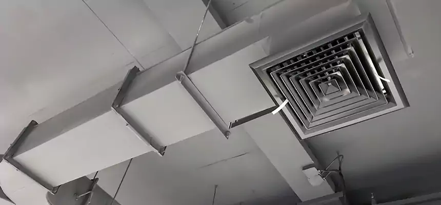 Restorative Allergy Relief Vent Cleaning – Coil, Blower & Housing Detail in New Hope