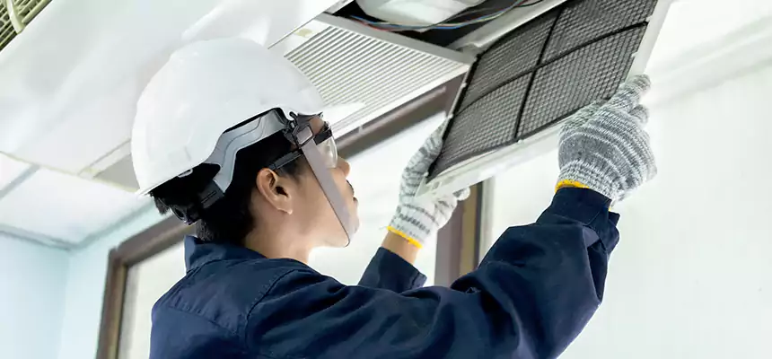 Our Mold & Mildew Removal from Air Ducts Services in New Hope, MN