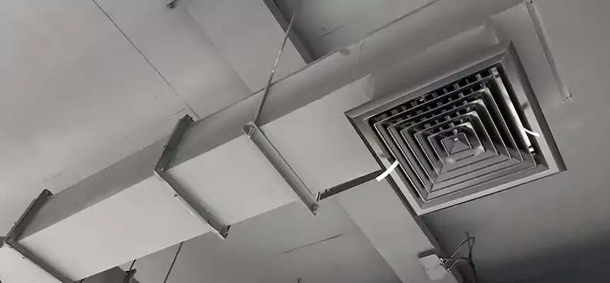 Our Rodent Droppings In Vents Services in New Hope, MN