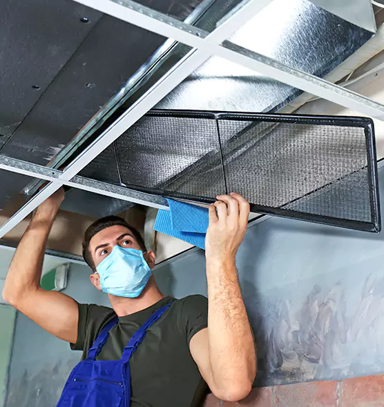 About Air Duct Bacteria Removal in New Hope
