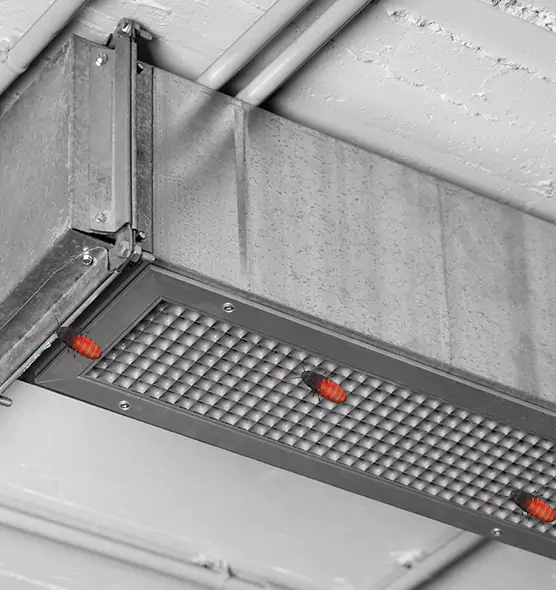 Affordable Insect Removal from Air Ducts in New Hope, MN