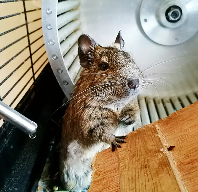 Why Homeowners & Businesses Trust Us New Hope, MN